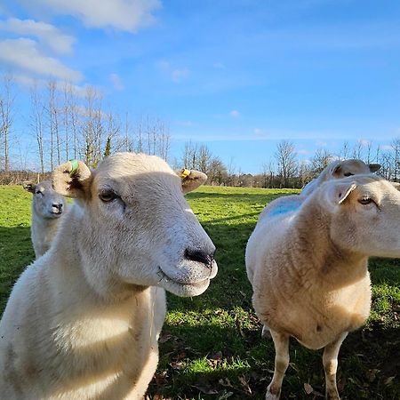 Sleeps 12, Stunning Dog Friendly Lodge, Rural Village Nether Stowey Eksteriør bilde